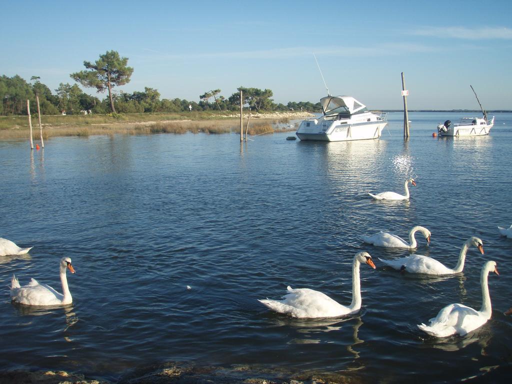 Les Marinas De Cassy Apartment Lanton Luaran gambar